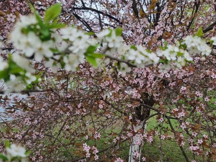 Как создать сад, который не потребует от вас сверхусилий Как создать сад, который не потребует от вас сверхусилий