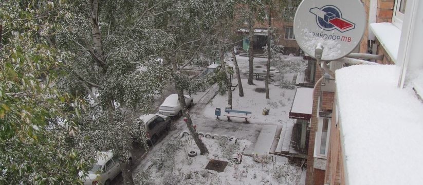 Необычное лето 2025: синоптики предупреждают о заморозках и дождях Необычное лето 2025: синоптики предупреждают о заморозках и дождях