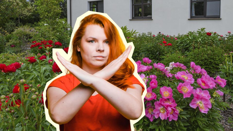 Развенчиваем миф: можно ли удобрять молодые пионы? Развенчиваем миф: можно ли удобрять молодые пионы?