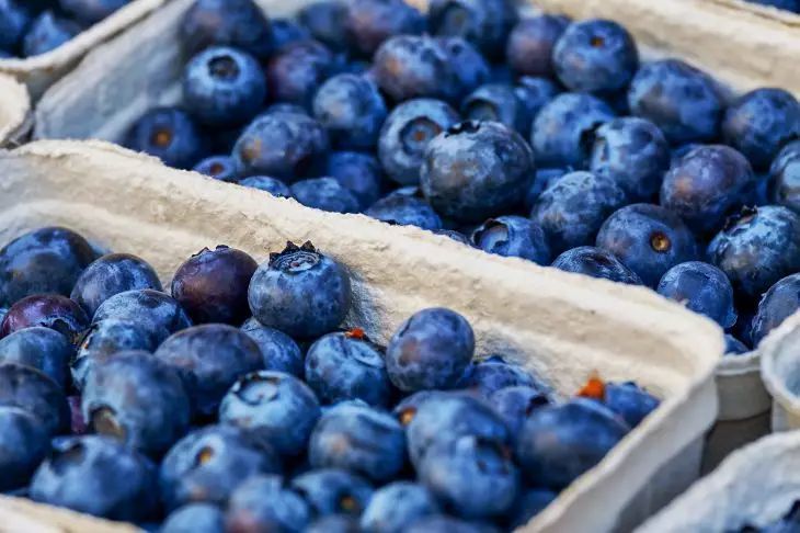 Черника и голубика: как не ошибиться в выборе и насладиться вкусом Черника и голубика: как не ошибиться в выборе и насладиться вкусом