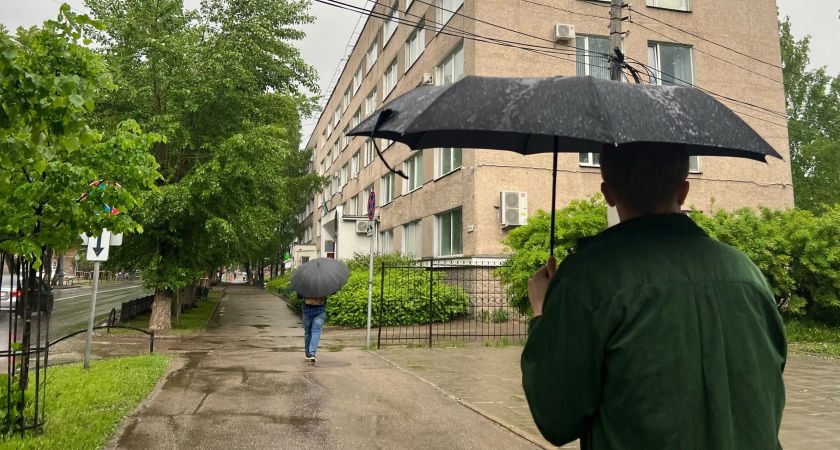 Лето-2025: какие сюрпризы готовит погода? Лето-2025: какие сюрпризы готовит погода?