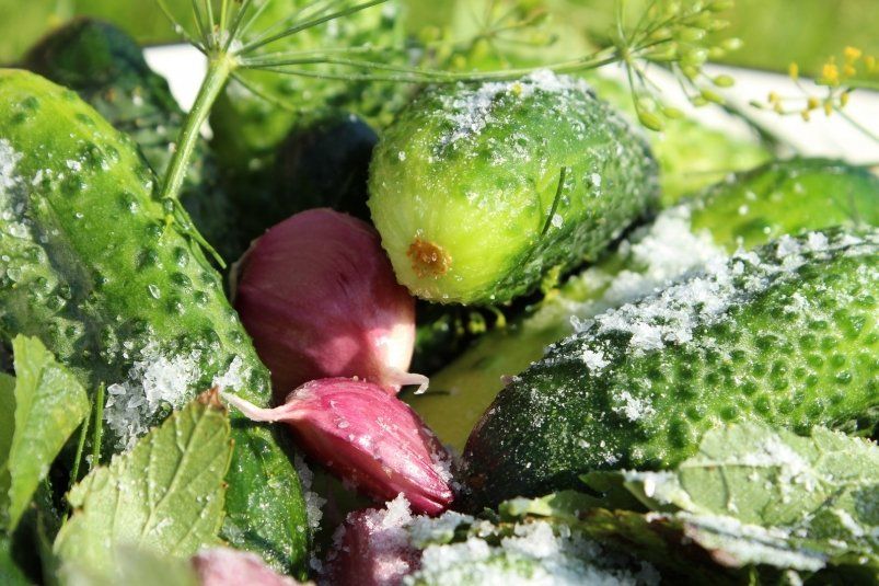 Лёгкий рецепт малосольных огурцов: быстро, вкусно и ароматно! Лёгкий рецепт малосольных огурцов: быстро, вкусно и ароматно!