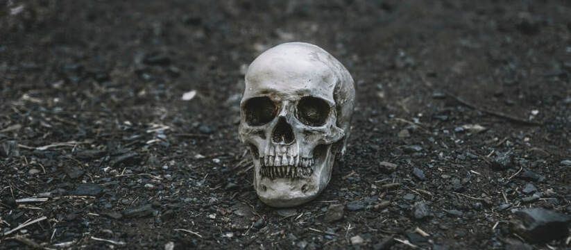 Тайны древности: новый взгляд на денисовского человека Тайны древности: новый взгляд на денисовского человека