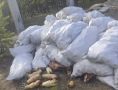 В Якутске найдено страшное место: свиные ноги и лошадиные головы