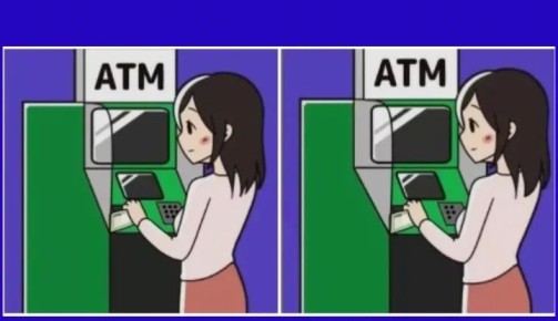   :     