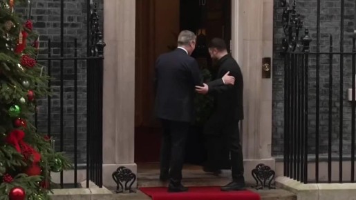 Этот кот явно дал понять, что на одной ступеньке с Зеленским…не сядет