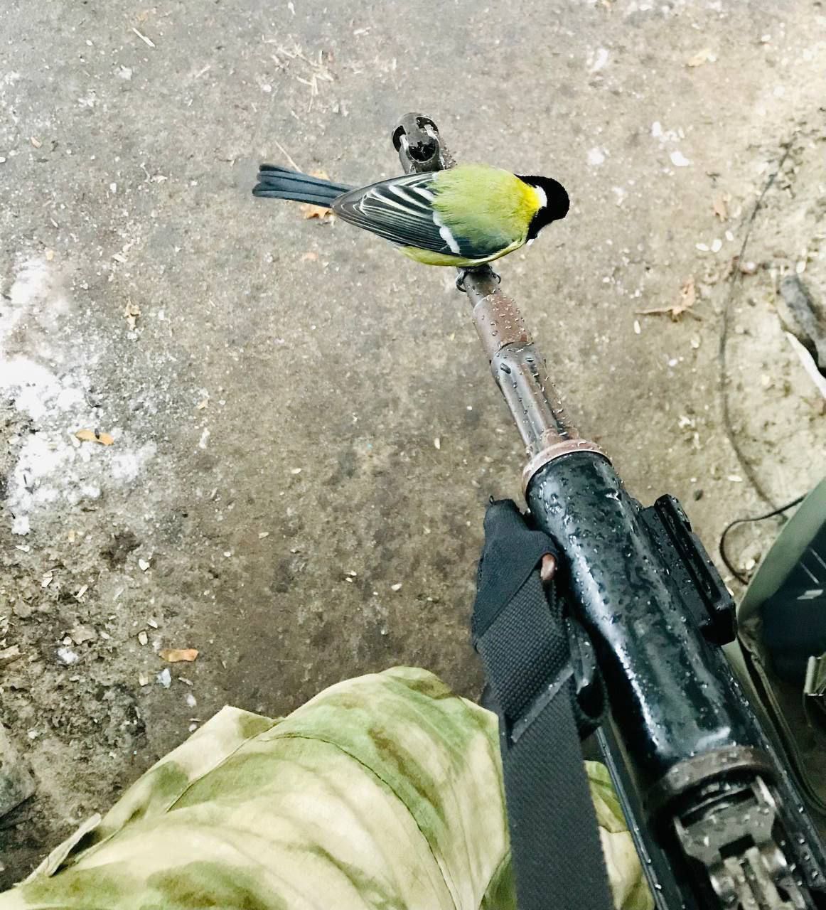 Моменты СВО. Будни фронта Моменты СВО. Будни фронта