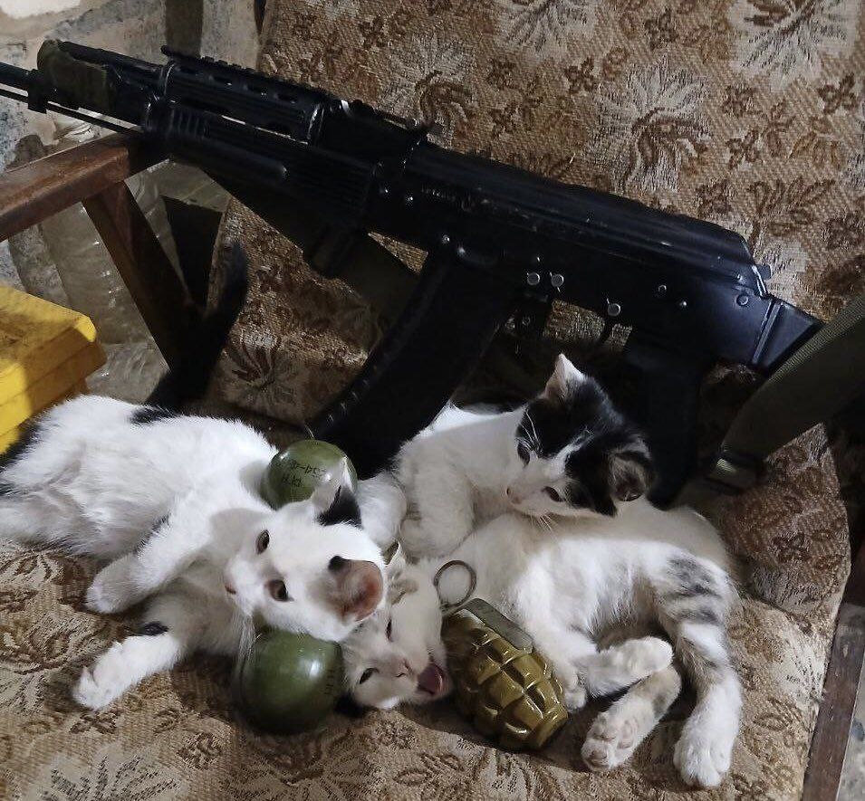 Моменты СВО. Будни фронта Моменты СВО. Будни фронта