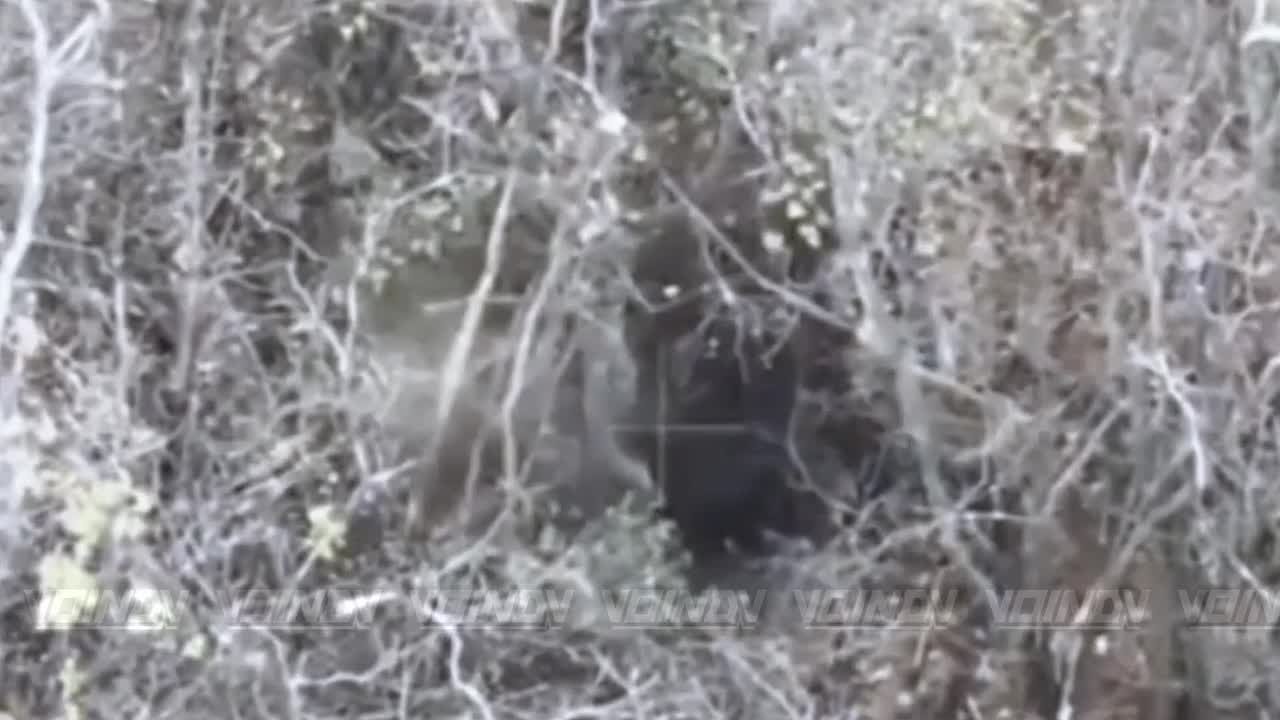 Операторы БЛА 19 полка РХБ защиты 29 армии группировки войск "Восток" уничтожают рисковых хлопчиков из одиозной 67 механизированной бригады ВСУ, которые попытались просочиться через реку Волчья на территорию, подконтрольную...