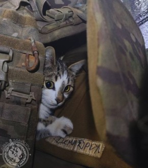 Два майора: Рубрика «Будни солдата»