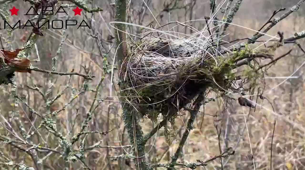 Два майора: Харьковское направление. Бойцы сводного подразделения полка ВКС прислали кадры, которые выбиваются из ежедневных фронтовых будней