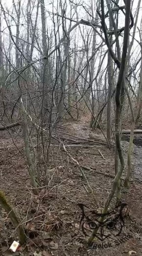 Работают северокорейские 107-мм РЗСО Тип 75, наши дни