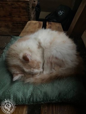 Два майора: Рубрика «Будни солдата»