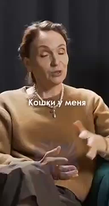 «Зверские санкции»: в Евросоюзе запретили российским кошкам участвовать в конкурсах