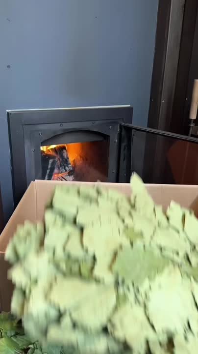 Два майора: Не покупай веники для бани, пока не увидишь мои!