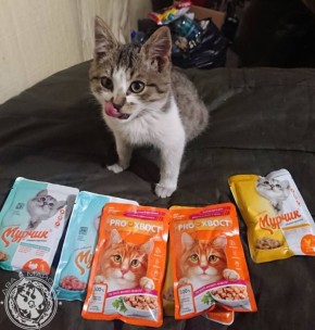 ��� ������: ������� ������ �������