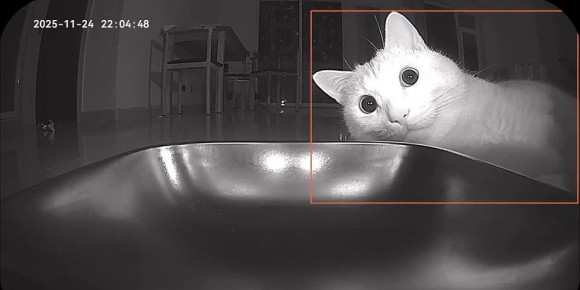 ��� ����, ����� ���� ���������� ������ �� ����������