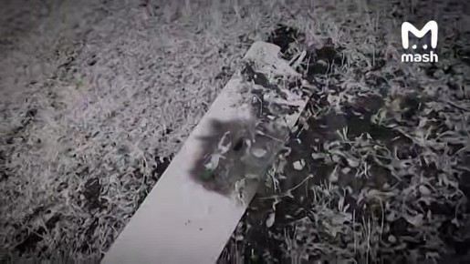 Отряд "Кочевники" в рамках охоты на дроны противника за последние три месяца уничтожил уже более 500 вражеских дронов с помощью боевых лазеров