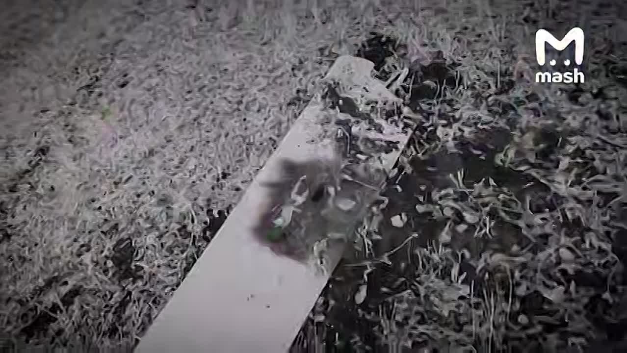 Отряд "Кочевники" в рамках охоты на дроны противника за последние три месяца уничтожил уже более 500 вражеских дронов с помощью боевых лазеров