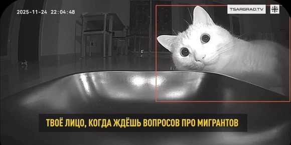 �������?. ��������.�� � �� ������ �������� ������ | ���������