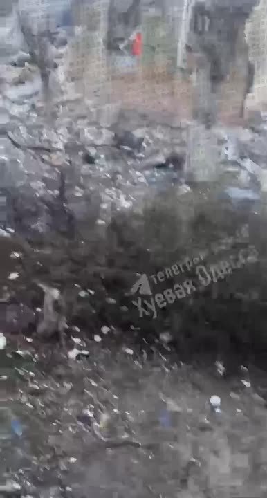 Вокзал в Одессе после плановой ночной работы Гераней