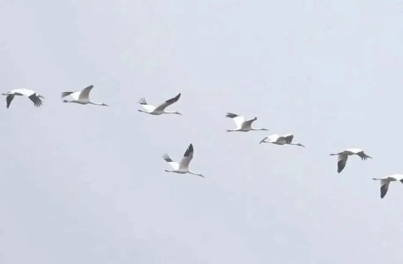 1 � ������ � ������ ������� ������ ������ �������� ������� �����������