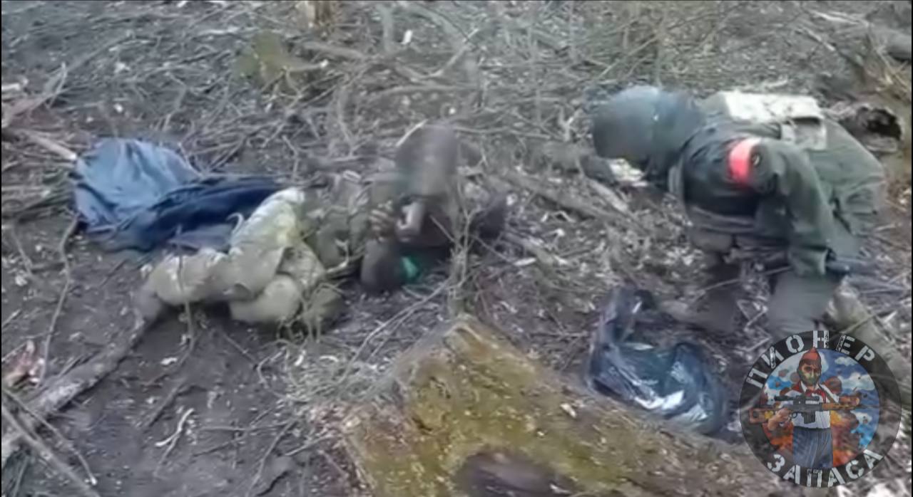 Зачистка одной из лесополос на Сумском направлении Зачистка одной из лесополос на Сумском направлении