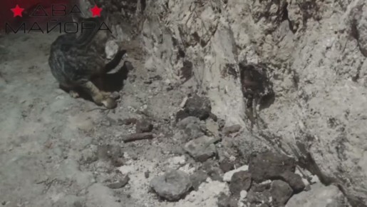 ������ ������. ���������� �������� ��� ��������� ���������� ������ �� ������ ����� (�� ��������� �����)