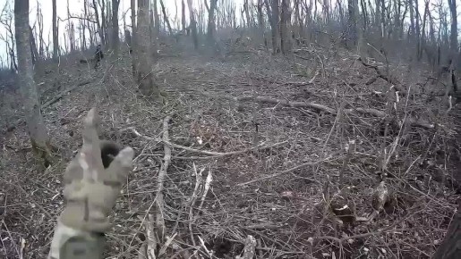 ����� ���������� ��������� ������ ������� �� ����� �� �������� ������